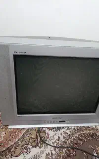 تلویزیون