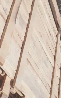 چوب کاج شمالی  خشک
