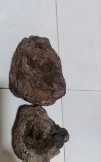 شهاب سنگ