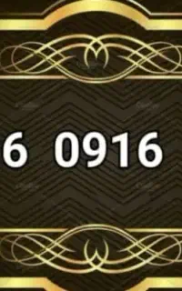 0916.0916.606
