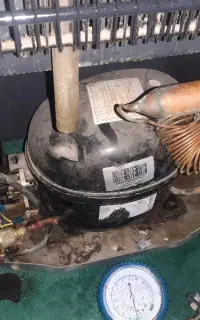 تعمیرات کلی یخچالهای خانگی وصنعتی سیاردرمنزل