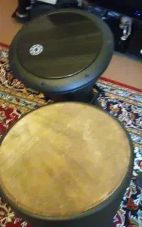 تمپو کاملا سالم