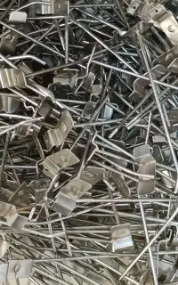 سیخ رگال