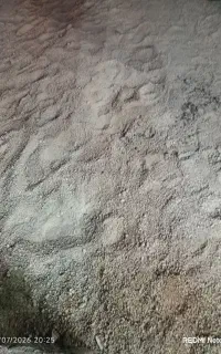 زمین