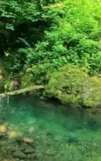 تور جمعه تنگه بیل اسالم فقط ۶۹۰ هزار تومن