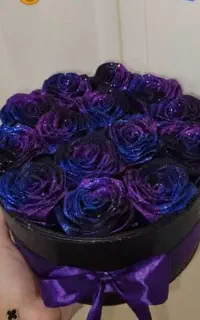 باکس گلهای جاودان