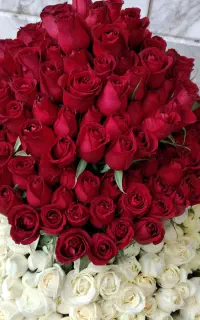 کالسکه برای اربعین