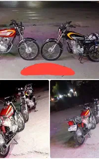 گمشده