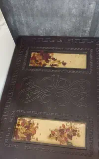 میزعسلی جلومبلی