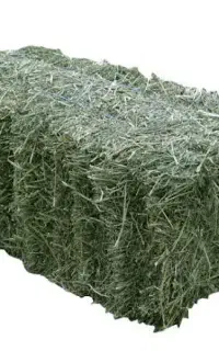 یونجه بسته بندی شده.در خلخال