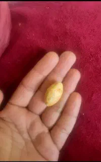 مهره