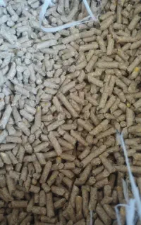 خوراک اماده گوسفند  و گاو