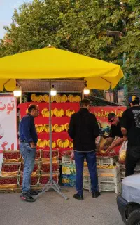 چتر سایبان