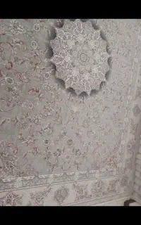 گهواره سالم