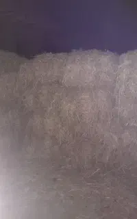 سراچین
