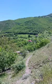 اجاره ی ویلا باغ ،جنگلی و سوییت در کلیبر