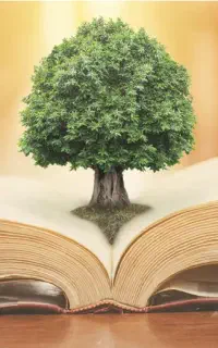 کلاس ریاضی ترم تابستان