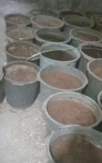 گلدان
