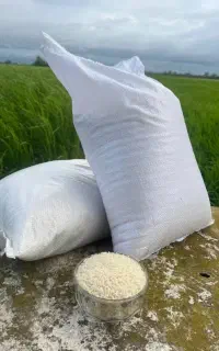 استخدام آشپز خانم