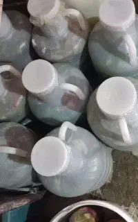 خیارشور دبه ای