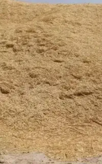 کاه