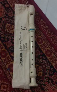 فلوت