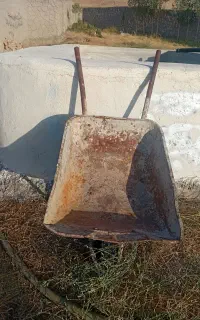 فرغون