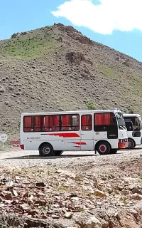 سرویس دربستی مینی بوس19