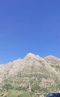 تور شهری بانوان