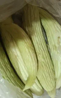 خیار چنبر