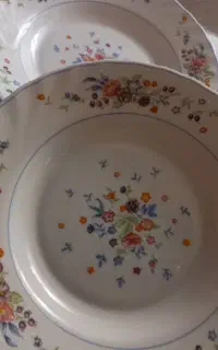 بشقاب گود آرکوپال اصل نونو هست فرانسه