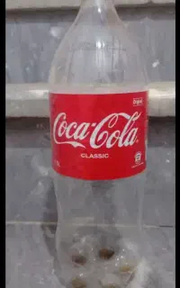 بطری ۱/۵سالم و سر دار