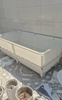 استخر