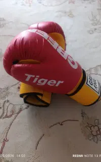 دستکش وسایل رزمی