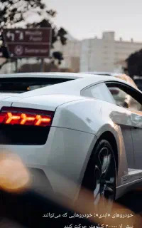 منشی خانم .