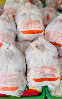 کارگر مرغ وارد