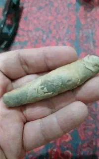 عرج ساحل دریا