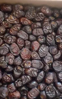 فروش کلی وجزئی خرمایی مضافتی زاهدی پیارم
