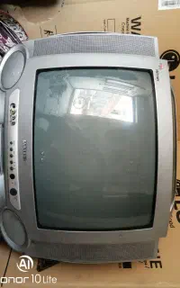 تلوزیون