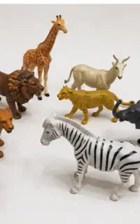 حیوانات مزرعه،حیوانات دریایی،حیوانات جنگل