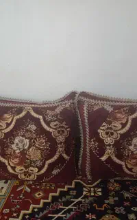 جلدپشتی