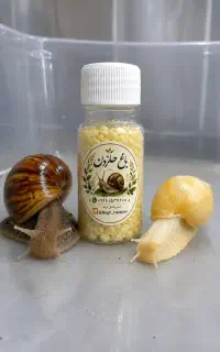 تراپی
