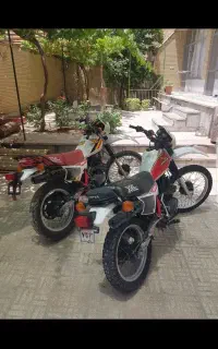 هوندا ایکسل ۲۵۰ XL250 R