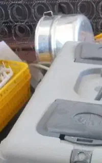شانه