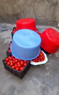 رب درجه یک