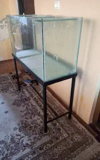 آکواریوم ماهی