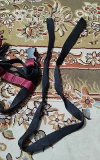 قلاده سگ دو ماهه تا شیش ماهه