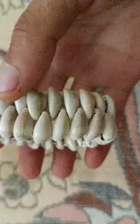 دست بند