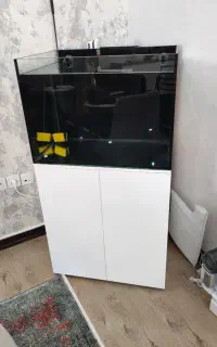اکواریوم اب شور  سوپر کیلیر