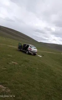 206تیپ 2مدل82